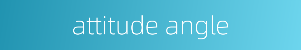 attitude angle的同义词