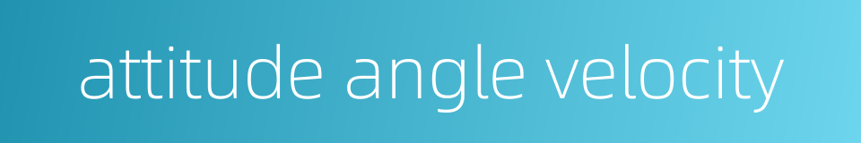 attitude angle velocity的同义词