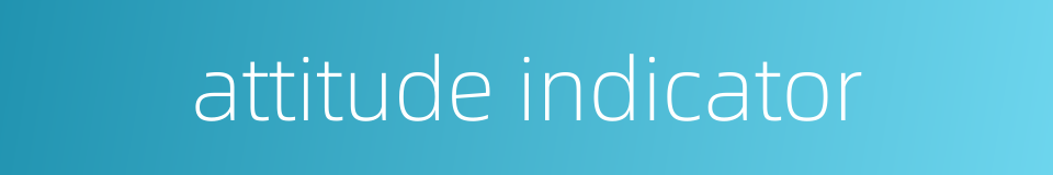 attitude indicator的同义词