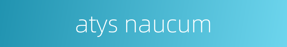 atys naucum的同义词
