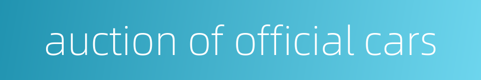 auction of official cars的同义词