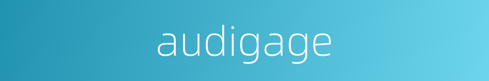 audigage的同义词
