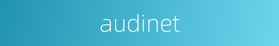 audinet的同义词