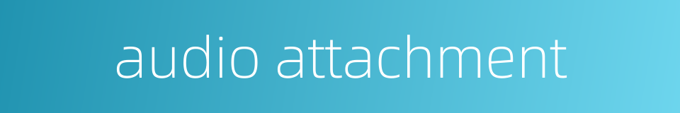 audio attachment的同义词