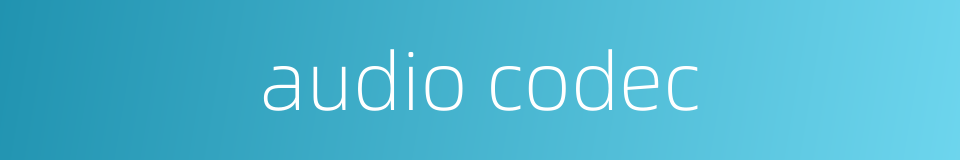 audio codec的同义词