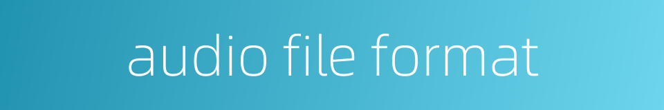 audio file format的同义词