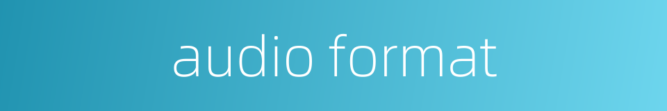 audio format的同义词