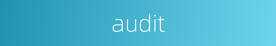 audit的同义词