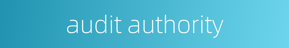 audit authority的同义词