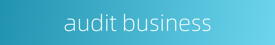 audit business的同义词