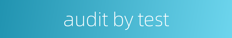 audit by test的同义词