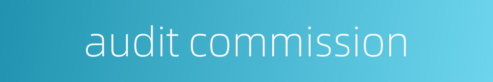 audit commission的同义词