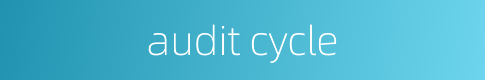 audit cycle的同义词