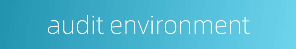 audit environment的同义词