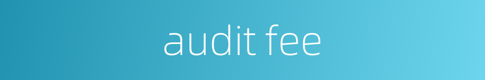 audit fee的同义词