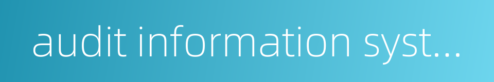 audit information system的同义词