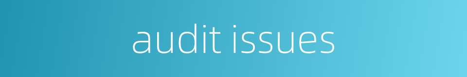 audit issues的同义词