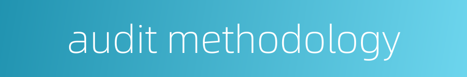 audit methodology的同义词