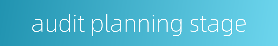 audit planning stage的同义词