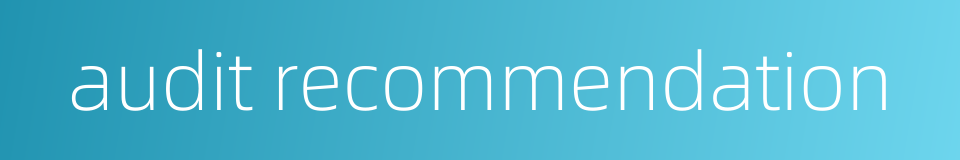 audit recommendation的同义词
