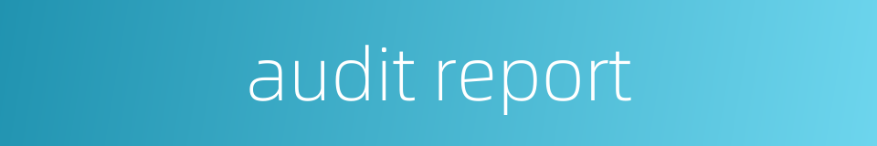 audit report的同义词