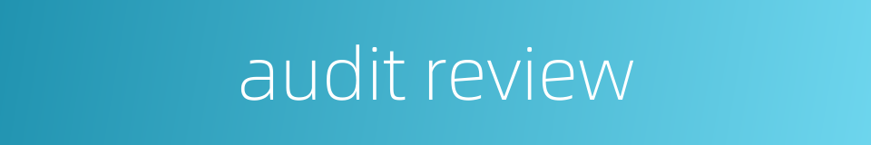 audit review的同义词