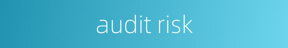 audit risk的同义词