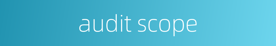 audit scope的同义词
