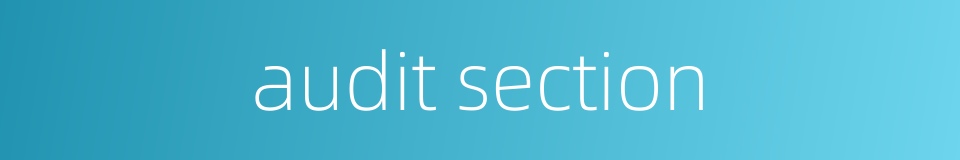 audit section的同义词