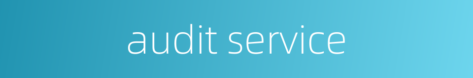 audit service的同义词