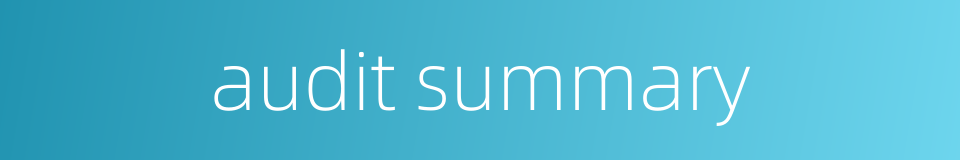 audit summary的同义词