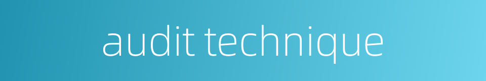 audit technique的同义词