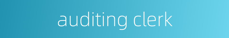 auditing clerk的同义词