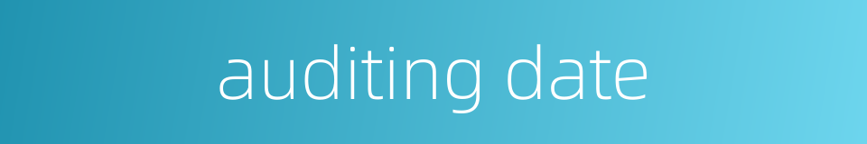 auditing date的同义词