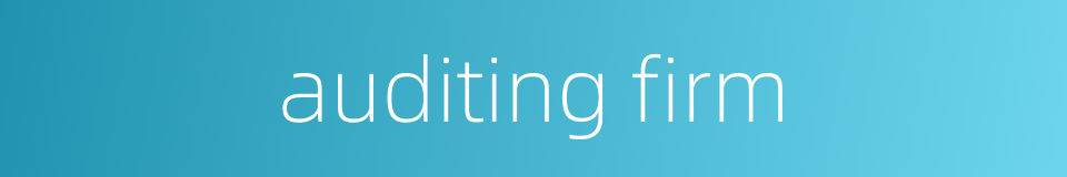 auditing firm的同义词