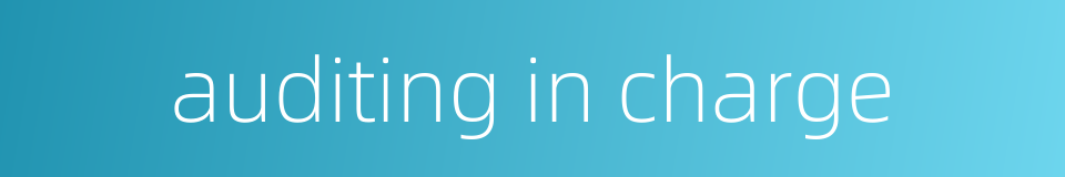 auditing in charge的同义词