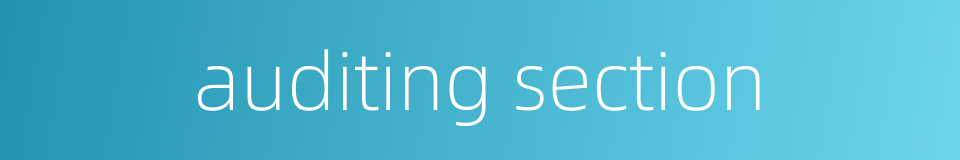 auditing section的同义词