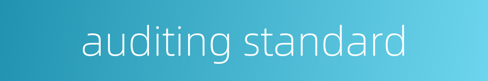 auditing standard的同义词