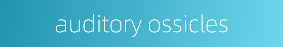 auditory ossicles的同义词