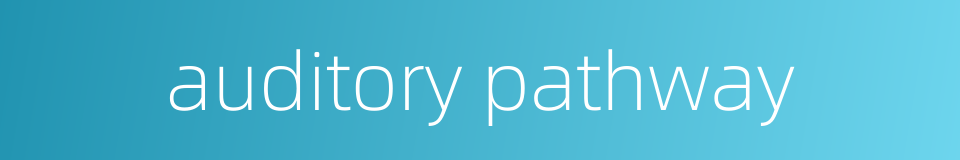 auditory pathway的同义词