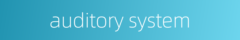 auditory system的同义词