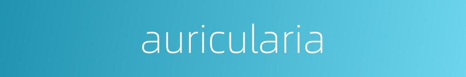 auricularia的同义词
