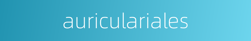 auriculariales的同义词