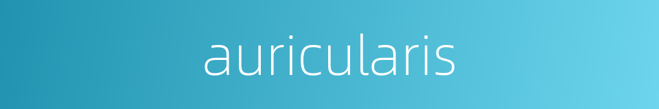 auricularis的同义词