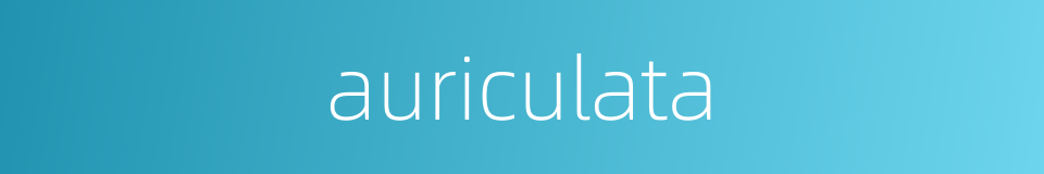 auriculata的同义词