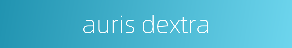 auris dextra的同义词