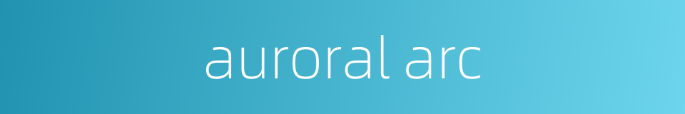 auroral arc的同义词