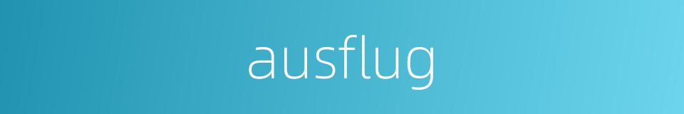 ausflug的同义词