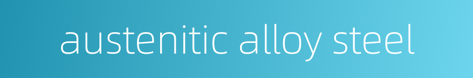austenitic alloy steel的同义词