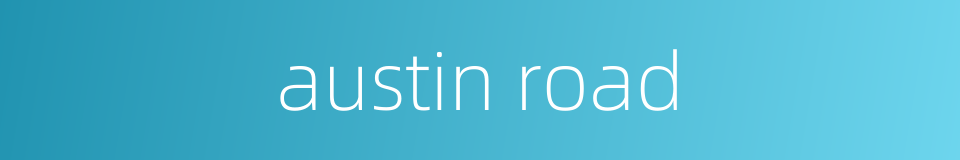 austin road的同义词